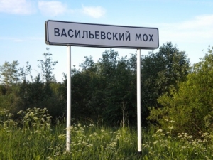 Васильевский Мох: в круге ада