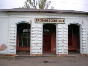 Васильевский Мох: территория депрессии?