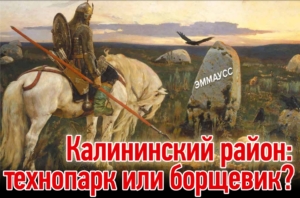 Калининский район: технопарк или борщевик?
