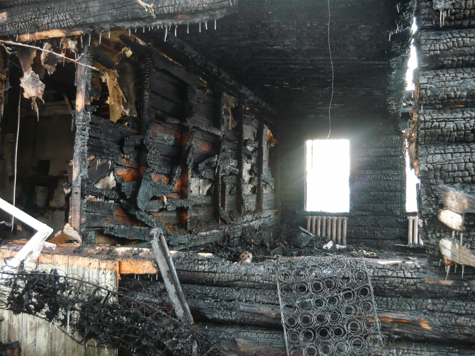 горелая сухая трава. следы пожарищ. степной пожар кустарниковые. следы пожарищ. сибирский лес после пожара.