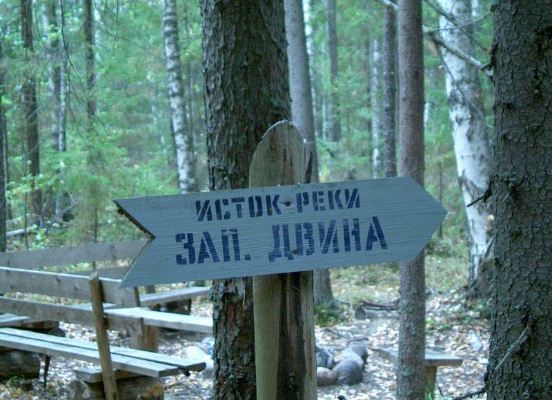 Лагерь исток тверская область пеновский район фото