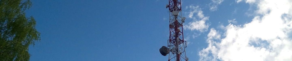 Вышка сотовой связи помешала мужчине и он её спилил