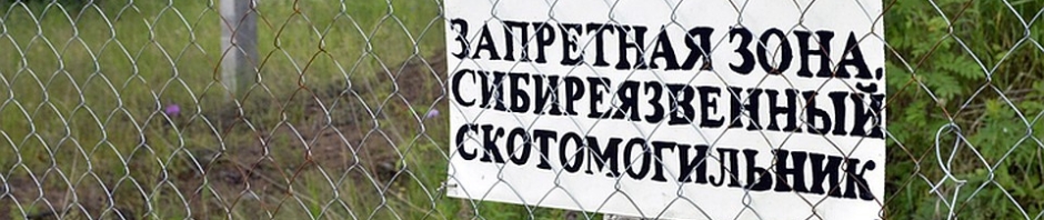 В Максатихинском районе благодаря вмешательству прокуратуры огородили скотомогильники