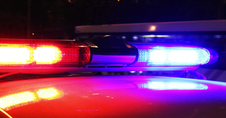 Полиция задержала куражившегося преступника по горячим следам