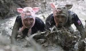 От тверской земли пахнет… свиньями
