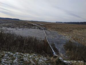 От тверской земли пахнет… свиньями