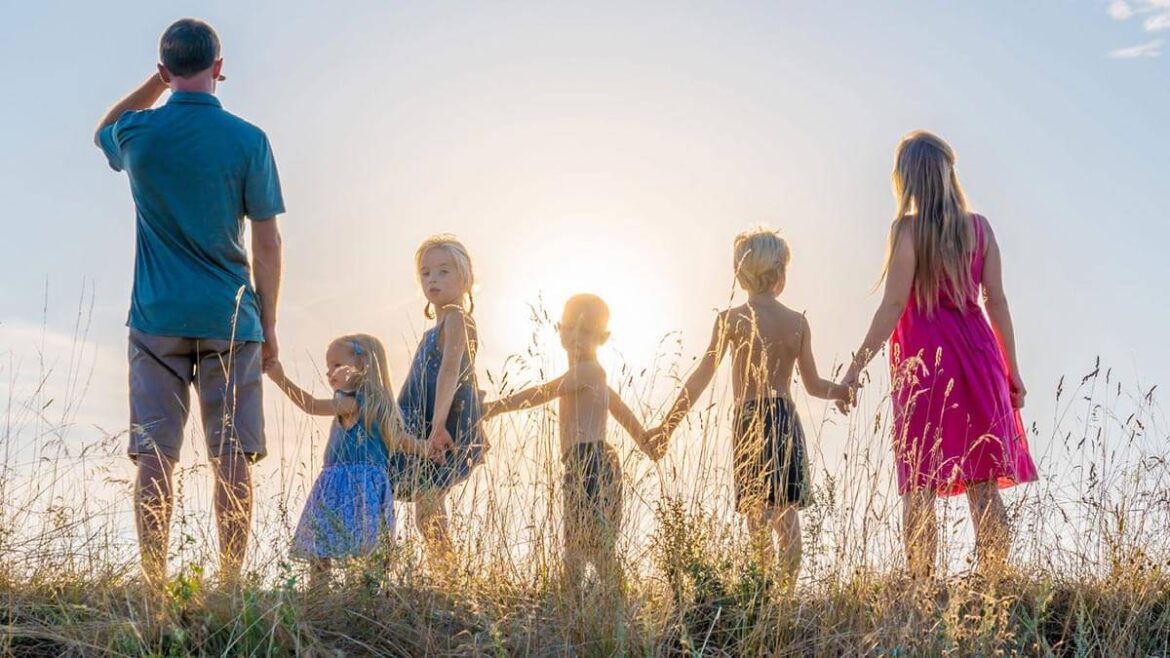 Кашинский район: участки для многодетных без газа и электричества