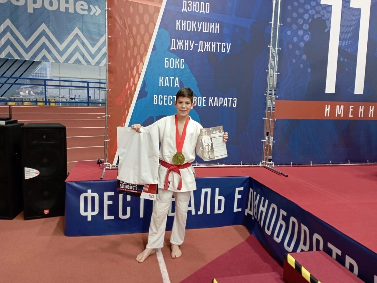 Спортивная борьба BJJ