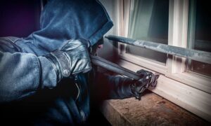 Полиция Твери раскрыла кражу с дачного участка