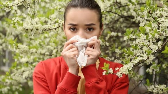 Пыльцевые бури, аллергия и острая реакция на весну