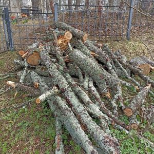 Под Весьегонском кладбище превращается в свалку