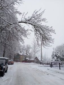 Тсссс... Чиновники Бологовского округа впали в зимнюю спячку