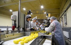 Игорь Руденя провёл встречу с аграриями Верхневолжья