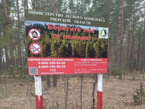 Губернаторская повестка: ликвидация последствий стихии