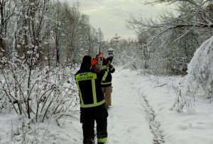 Губернаторская повестка: ликвидация последствий стихии