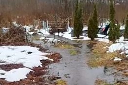 Вонючий случай: в прорыве канализации в Торжке виноваты местные жители?