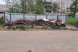 С - стабильность: в Торжке три месяца не могут вывезти мусор