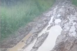 Деревня в Осташковском округе оказалась оторванной от мира из-за убитой дороги