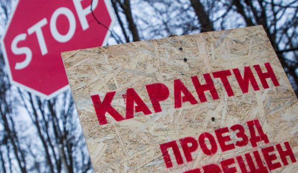 В одном из районов Тверской области введён карантин по бешенству