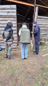 В Тверской области спасли двух искалеченных медведей
