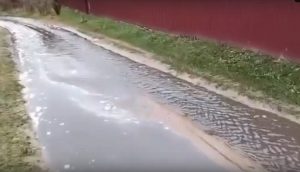 Экологическая катастрофа! Деревню в Калининском округе затапливает отходами мясокомбината