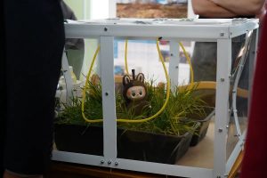 ТвГМУ: наука, международные связи и студенческая жизнь