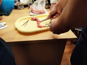 Тверской медуниверситет: ноябрьский обзор главных событий