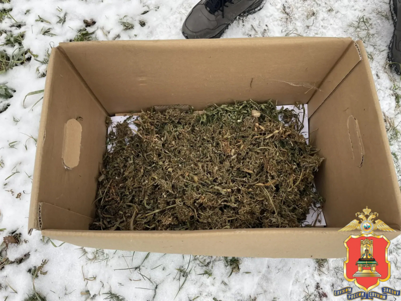 В Старицком округе изъяли около килограмма марихуаны