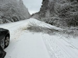 Посёлок Пеновского округа оказался отрезанным от мира, без света и помощи чиновников
