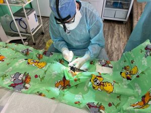 Декан лечебного факультета ТвГМУ Александр Шаров вернулся из 8 командировки в зону СВО