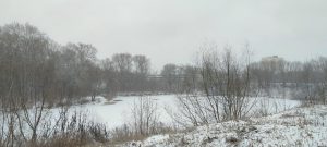 Полтинник, Точка и Аул