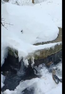 Бологовский прорыв: вонючий случай