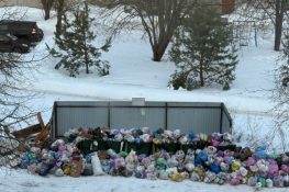 Торжок снова стремится в рейтинг всероссийских свалок