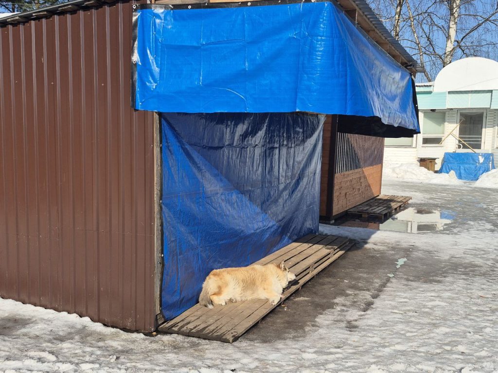 Фоторепортаж: Весьегонск - эпоха деградации