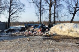 Красный Холм: мусорный коллапс и бездействие властей