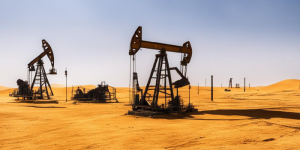 Полит-оливье: мир погружается в топливный кризис?