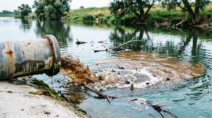 Чистотой рек Калининского округа занялся Следственный комитет