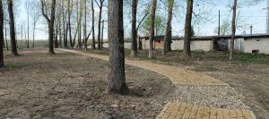 В Торжке администрация отчиталась о благоустройстве парка, весьма обескуражив жителей