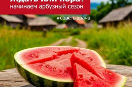 Когда безопасно покупать арбузы? Советы доктора Праздникова