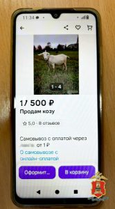 Криминал недели: мошенники на доверии