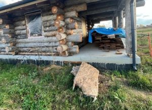 Калининский район — это наша корова, и мы её доим