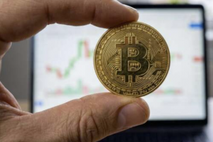 В Тверской области у чиновницы обнаружили незаконные биткоины